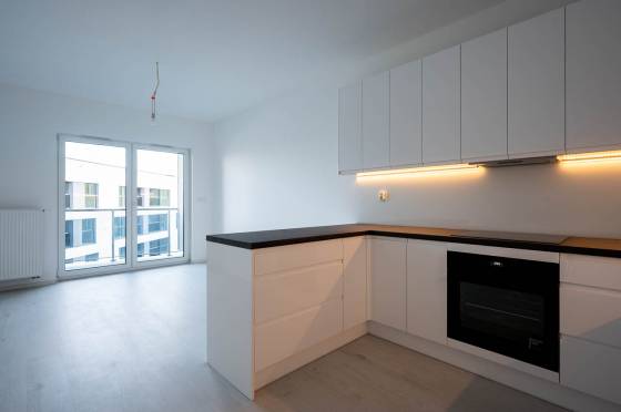 Mieszkanie do wynajęcia Sunset Park