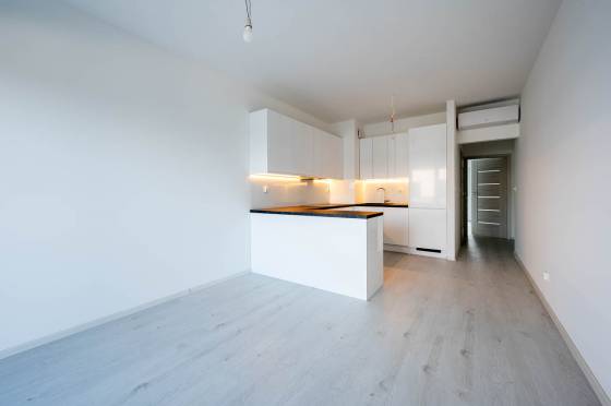 Mieszkanie do wynajęcia Sunset Park