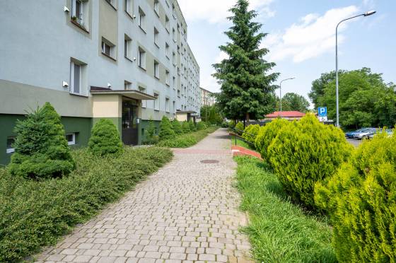 Mieszkanie dwupokojowe na Zasaniu